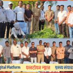 लातूर पोलिसांची मोठी कारवाई! उसाच्या शेतात गांजाची शेती; ५.२२ लाखांचा मुद्देमाल जप्त, आरोपी अटकेत