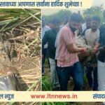देवणीत मगरीचा पुन्हा तीन तास थरार; पोलिसांच्या मदतीने महाकाय मगर जेरबंद!